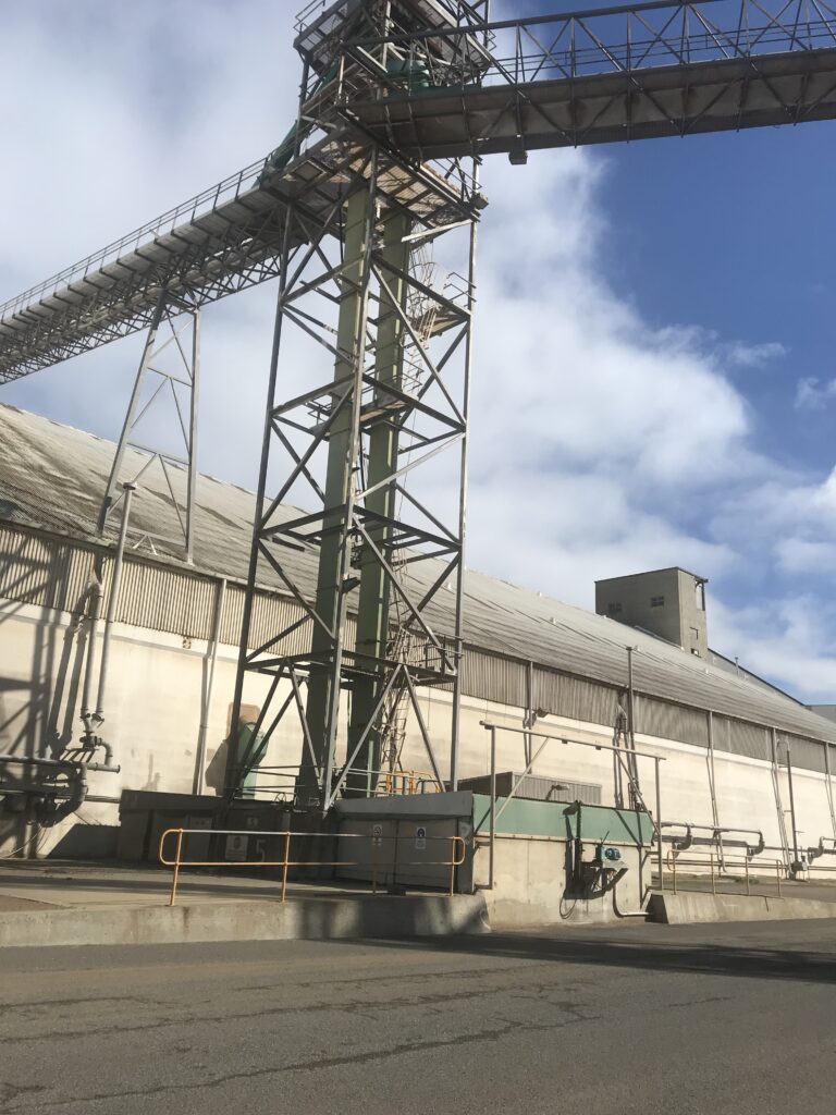 Grain bulk handling conveyor at height and elevator
